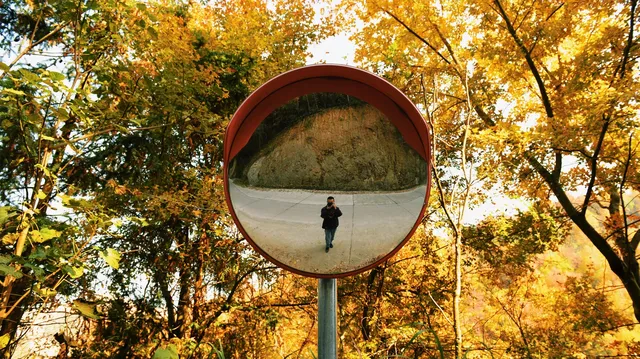 縉雲彩林秘境,冷門但絕美! 縉雲彩林秘境,冷門但絕美!