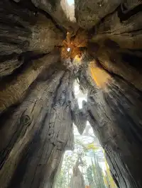 三生三世｜上海溫室花園 人少篇