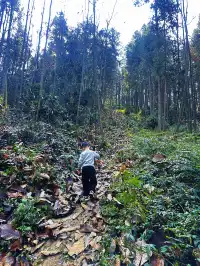 成都霧霾天的救命徒步!蒲虹路6公里,拿捏!