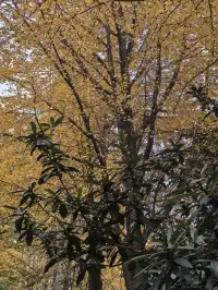 12.4安徽-包公祠-包大人草民來看您了