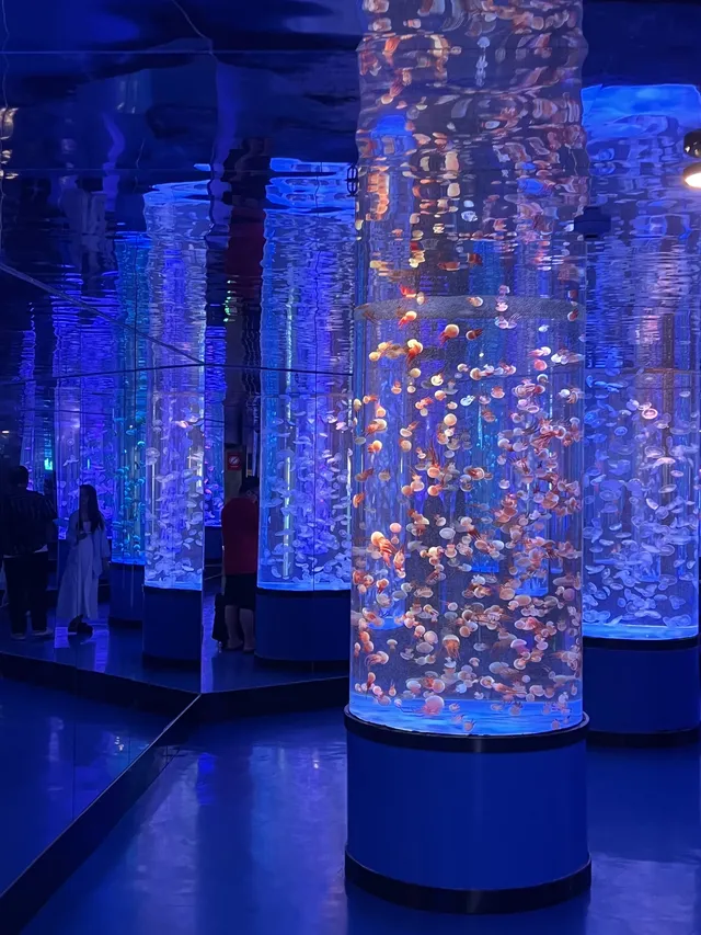 沉浸式墜入深海星穹，治癒與出片雙滿分～