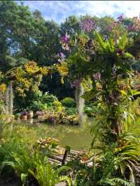 深圳仙湖植物園|遛娃寶藏地打卡賞花絕佳去處