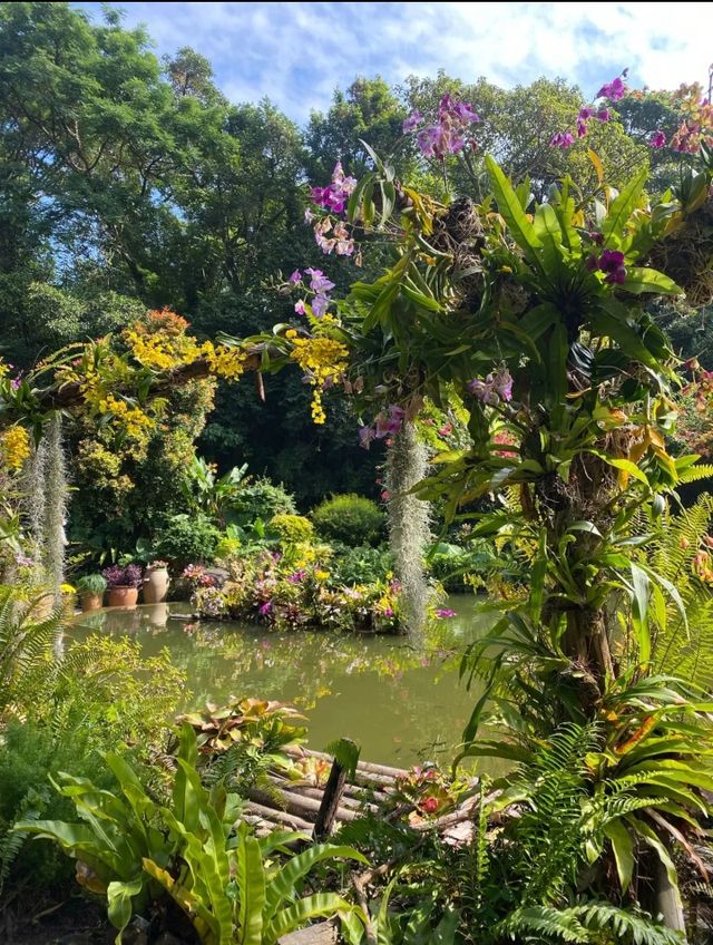 深圳仙湖植物園|遛娃寶藏地打卡賞花絕佳去處 深圳仙湖植物園|遛娃寶藏地打卡賞花絕佳去處