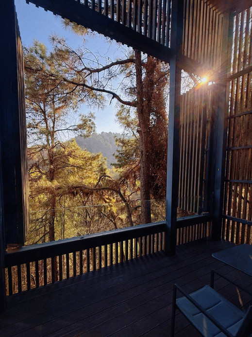 美岕山野温泉度假村(森林树屋) 参考图 5