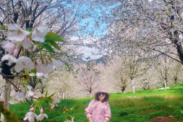 桜の花びらが舞うピンクのスカート、春が人の世界に訪れた！ | Trip