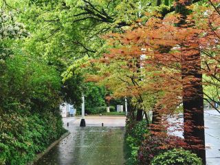 春天的小城醴陵