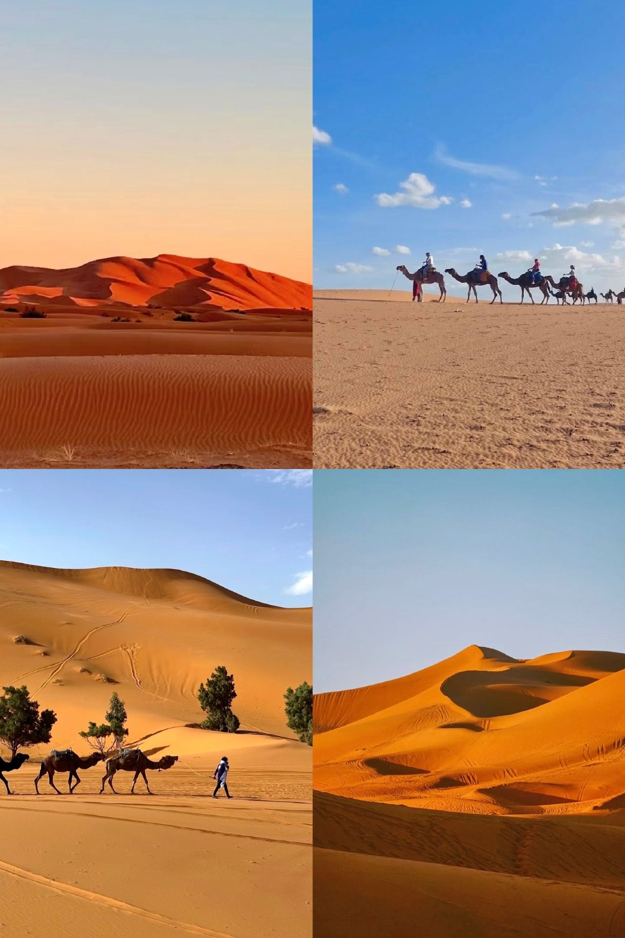 Perjalanan Gurun Sahara 3 Hari 2 Malam