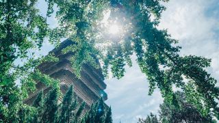 西安小雁塔｜賑やかな街中に盛唐を秘め、一つの塔で千年を読む