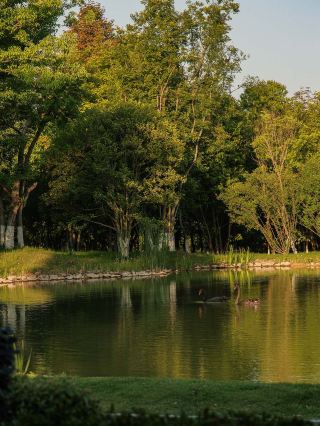 Weekend escape, hiding alone in Tianmu Lake Anyue