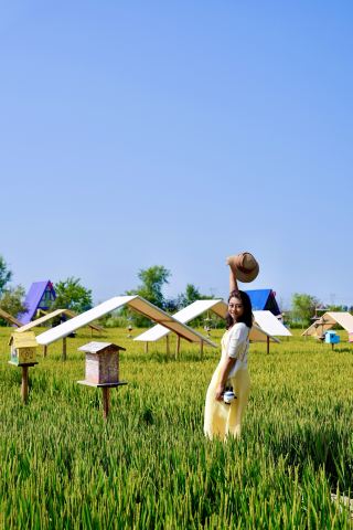 沈陽稻夢空間｜秋日稻田遛娃滿分攻略