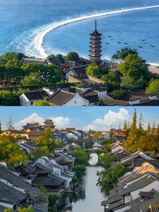 Чья ДНК в детстве была подвергнута резкой критике, что заставило их вернуться к уроку из китайского учебника «Наблюдение за приливом»?