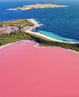 Danau Hillier 🇦🇺 Danau Merah Muda yang Tak Pernah Kehilangan Warnanya