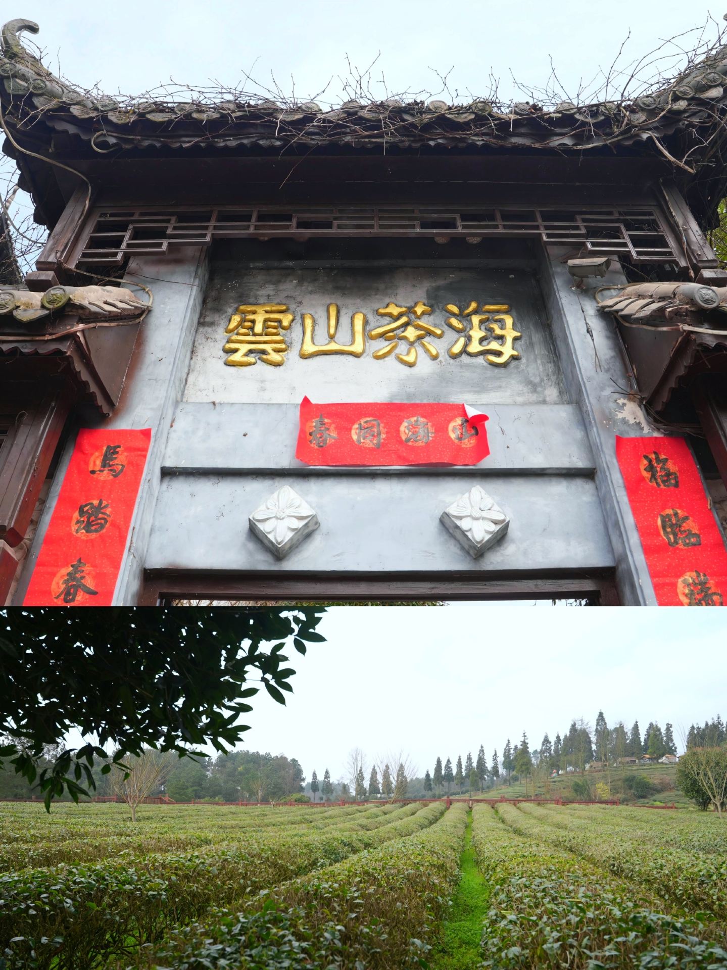 Guiyang's "Little Southeast Asia"! The mountain forest hot spring is so photogenic.