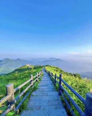赴三公山山野之約 風遇竹海 心歸自由