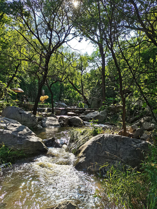 泰山の麓にある千年の道観・王母池は、喧噪のそばにひっそりと佇む古い