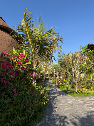 Fantastic Yoga Class and Amazing Hotel Experience