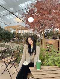 광주,전주 근교 전북 고창 온실카페 🍀