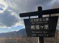 紅葉の時期の日光
