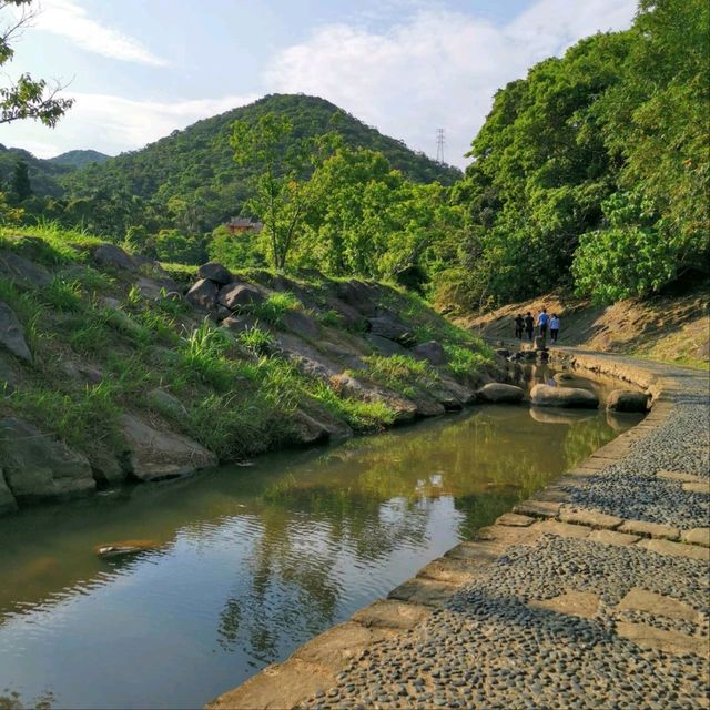 花開正好-大溝溪生態治水園區