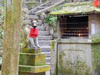 【京都市】無数の鳥居をくぐり山頂へ⛩
