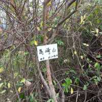 高雄高崎山