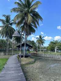 Authentic Malay cuisine by the paddy field