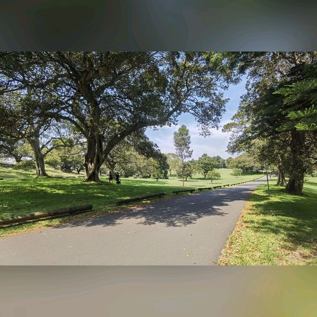 悉尼市區最大既公園～Centennial Park