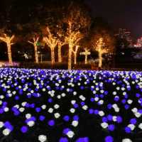 ✨LED夢幻玫瑰花海🌹添馬公園✨