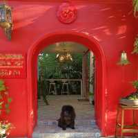 ร้านดินเนอร์
