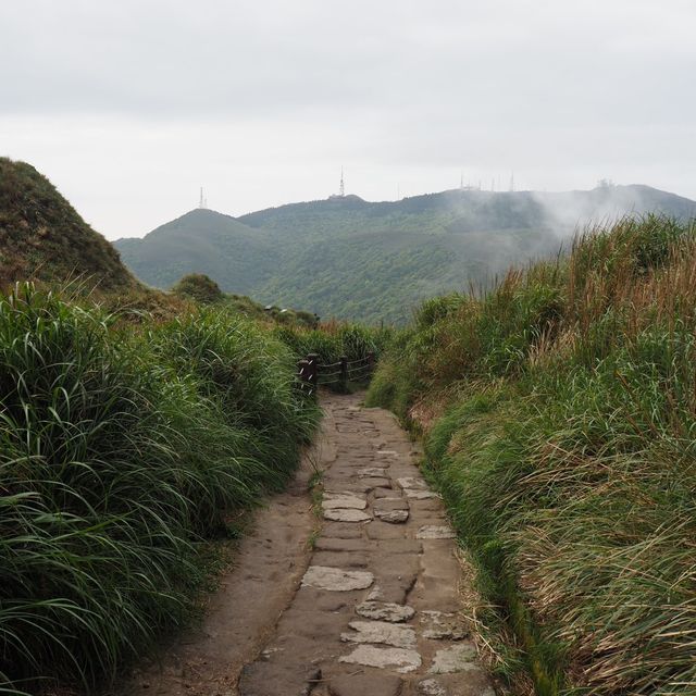 Yangmingshan: Lengshuikeng>>xiaoyoukeng trail