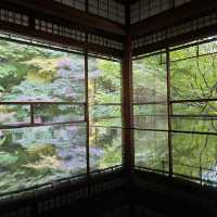 【インスタ映え】京都　瑠璃光院