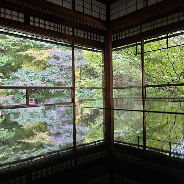 【インスタ映え】京都　瑠璃光院