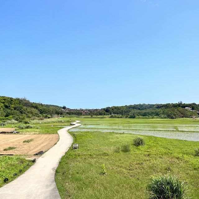 花東縱谷二日行