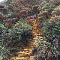 Should you climb Mount Kinabalu? 