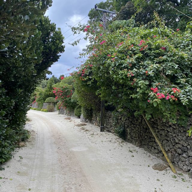 竹富島「水牛車コース」ニーラン君はのんびり集落を歩いてくれました