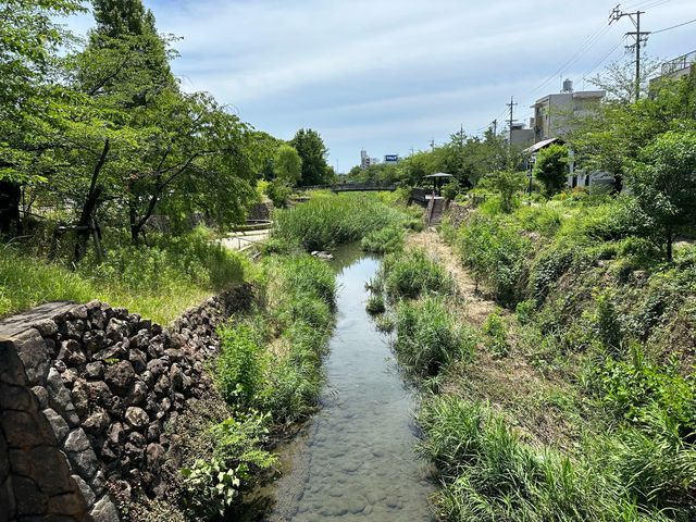 岐阜。岐阜駅南口。ホタルが楽しめる『清水緑地』と『清水川プロムナード』付近には『御鮨街道』もあります。