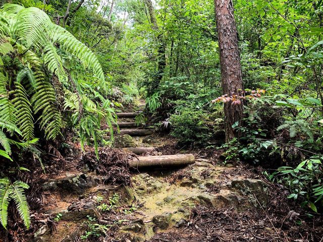 เดินป่าสำรวจอุทยานธรรมชาติ บนภูเขา🌳🏕️