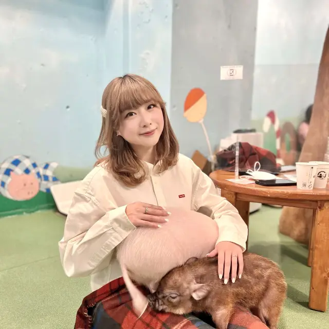 Mipig Cafe