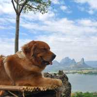 ภูซับเหล็ก ขึ้นเขาแค่ 400 เมตรแต่วิวหลักล้าน