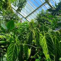 GORGEOUS ROYAL BOTANIC GARDENS, KEW!