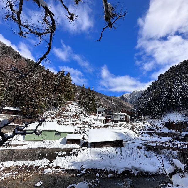 令人難忘且奇特的地獄谷雪猴之旅            