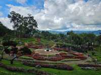 ขึ้นดอยตุง ชมดอกไม้บาน ที่สวนแม่ฟ้าหลวง จ.เชียงราย