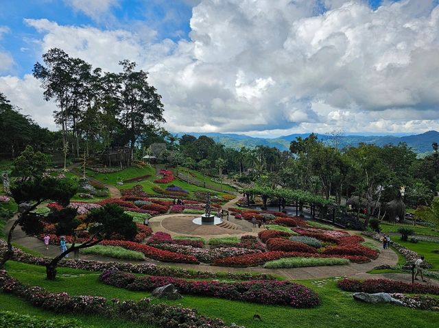 ขึ้นดอยตุง ชมดอกไม้บาน ที่สวนแม่ฟ้าหลวง จ.เชียงราย