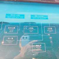 【福岡】福岡おすすめ観光スポット✨福岡タワー