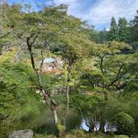  🎌禪意浸潤的日式寺院🎌 醍醐寺🎌