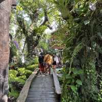 Enchanted Forest Café Delight