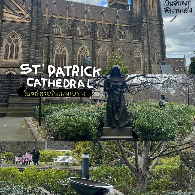 โบสถ์ st patrick cathedral ⛪️✨🌳 