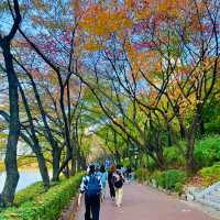 เดินเล่นสวนสาธารณะทะเลสาบซอกชนในต้นฤดูใบไม้ผลิ 🍁🍂