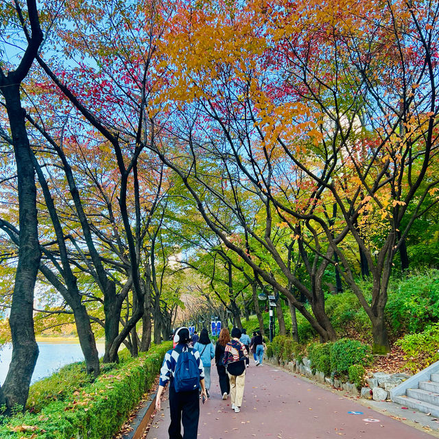 เดินเล่นสวนสาธารณะทะเลสาบซอกชนในต้นฤดูใบไม้ผลิ 🍁🍂
