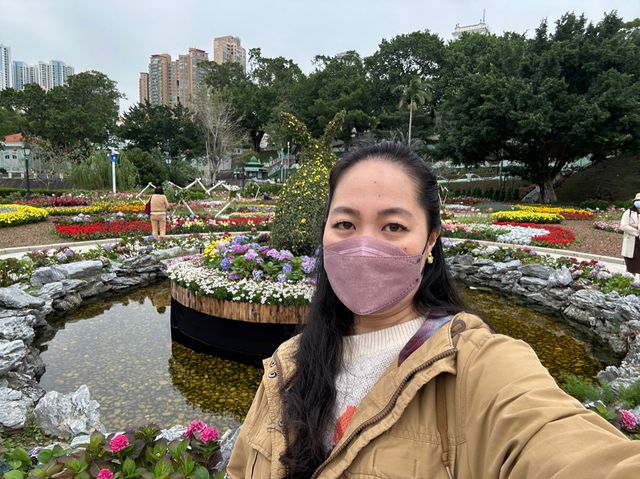 WINTER FRESH at Taipa Houses-Museum 🌸